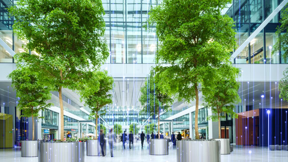 Sustainability planting trees