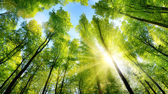 ISO14001